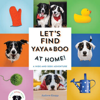 Cover image for 9781683693666 - Let's Find Yaya and Boo at Home!