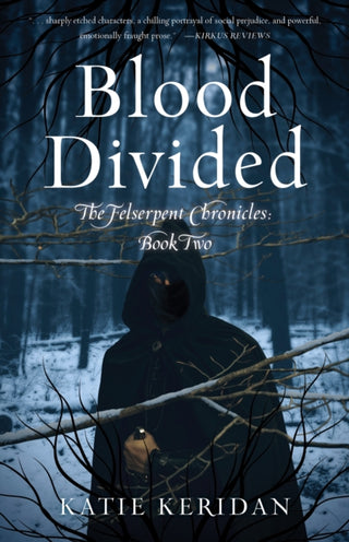 Cover image for 9781684632206 - Blood Divided