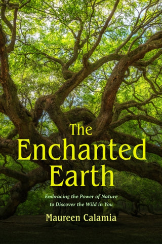 Cover image for 9781684816859 - The Enchanted Earth
