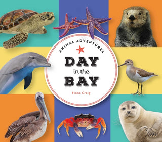 Cover image for 9781685551469 - Animal Adventures: Day in the Bay