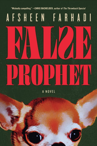Cover image for 9781685892418 - False Prophet