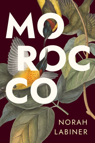 Cover image for 9781685892852 - Morocco