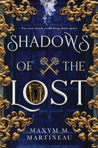 Cover image for 9781728211121 - Shadows of the Lost