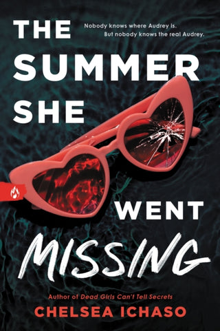 Cover image for 9781728251097 - The Summer She Went Missing