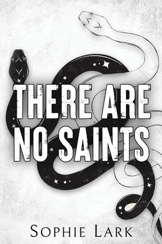 Supplemental image for 9781728295411 - There Are No Saints