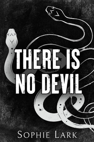 Cover image for 9781728295428 - There Is No Devil