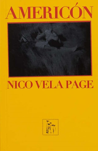 Cover image for 9781735924274 - Americon