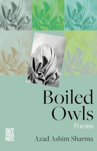 Cover image for 9781738412594 - Boiled Owls