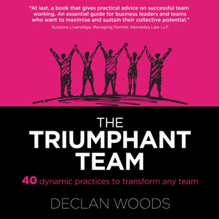 Cover image for 9781739148300 - The Triumphant Team