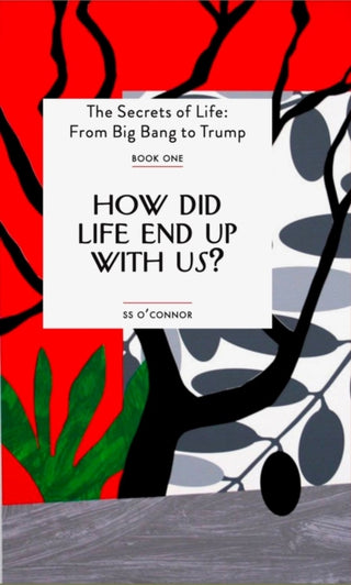 Cover image for 9781739155902 - How Did Life End Up With Us?