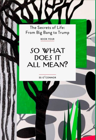 Cover image for 9781739155933 - So What Does It All Mean?