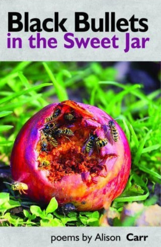 Supplemental image for 9781739173036 - Black Bullets in the Sweet Jar