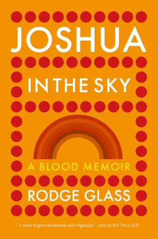Supplemental image for 9781739207793 - Joshua in the Sky