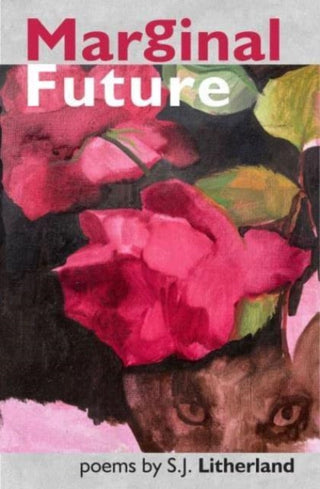 Supplemental image for 9781739473471 - Marginal Future