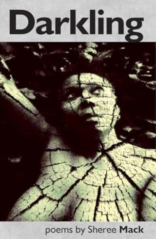 Cover image for 9781739473495 - Darkling