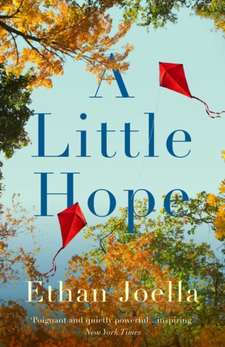 Cover image for 9781739638245 - A Little Hope