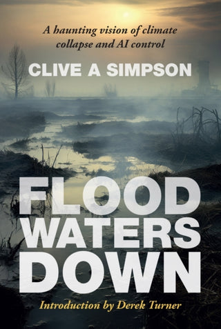 Cover image for 9781739737412 - Flood Waters Down