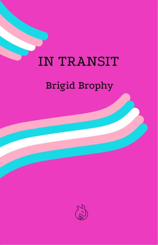Cover image for 9781739744175 - In Transit