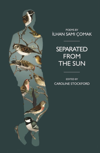 Cover image for 9781739772239 - Separated from the Sun