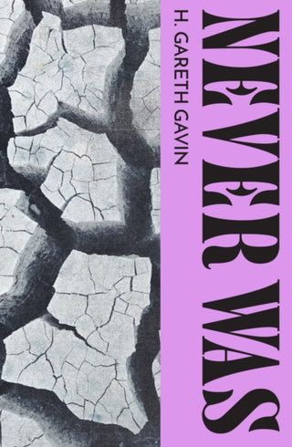 Cover image for 9781739784966 - Never Was