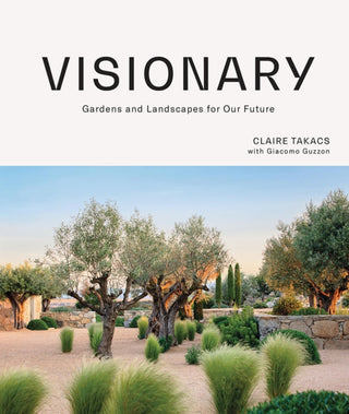 Cover image for 9781743797624 - Visionary