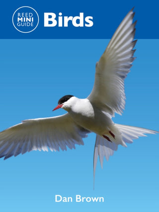 Cover image for 9781760796204 - Reed Mini Guide: Birds