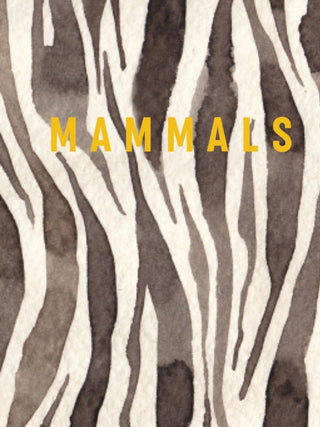 Cover image for 9781760796228 - Mammals