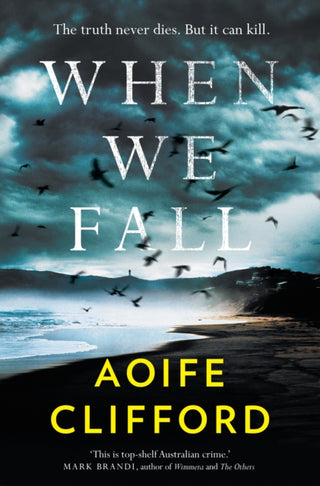 Cover image for 9781761151583 - When We Fall