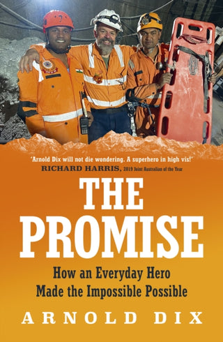 Cover image for 9781761429163 - The Promise