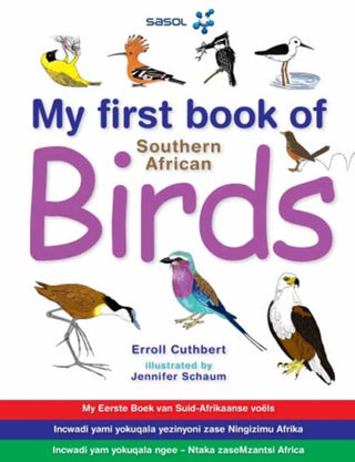 Cover image for 9781770072831 - My First Book: South African Birds V1