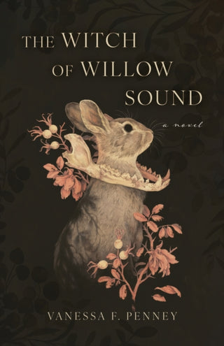 Cover image for 9781770418424 - The Witch of Willow Sound