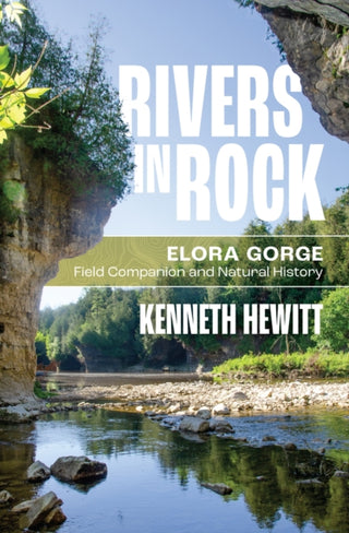 Cover image for 9781771125802 - Rivers in Rock