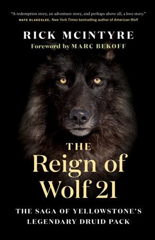 Cover image for 9781771649964 - The Reign of Wolf 21