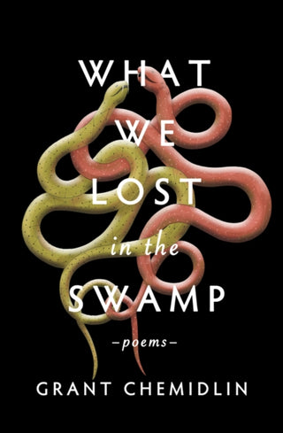 Cover image for 9781771682893 - What We Lost in the Swamp