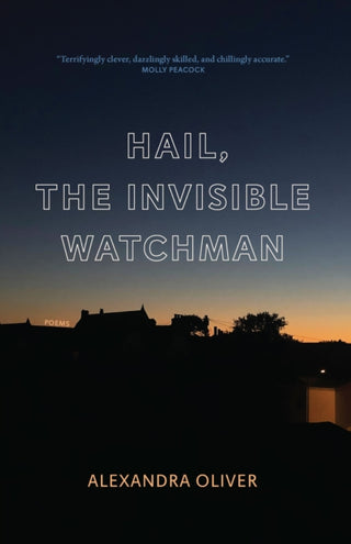Cover image for 9781771964715 - Hail, The Invisible Watchman