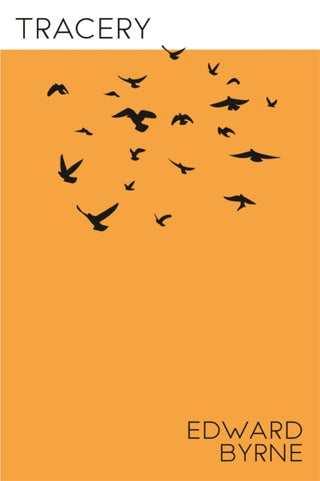 Cover image for 9781772014358 - Tracery