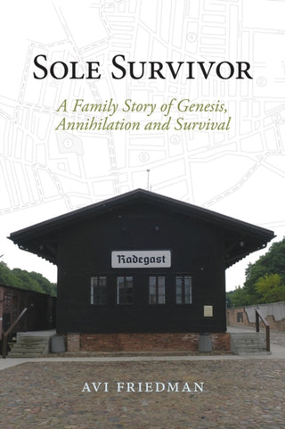 Cover image for 9781773856919 - Sole Survivor