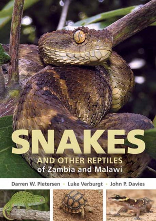 Cover image for 9781775847373 - Field Guide to Snakes and other Reptiles of Zambia and Malawi