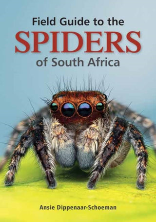Cover image for 9781775847977 - Field Guide to the Spiders of South Africa