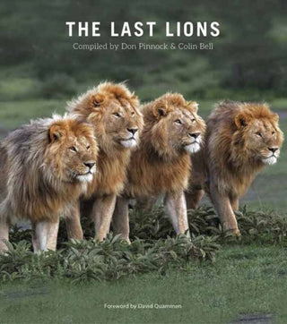 Cover image for 9781775848097 - The Last Lions