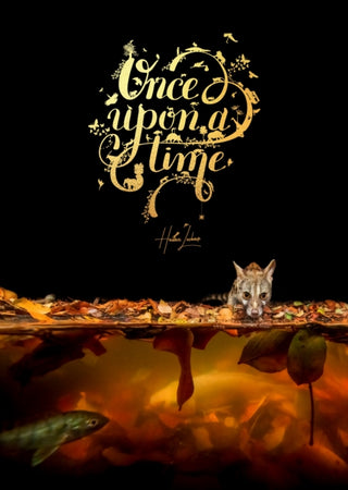 Cover image for 9781776433186 - Once Upon a Time