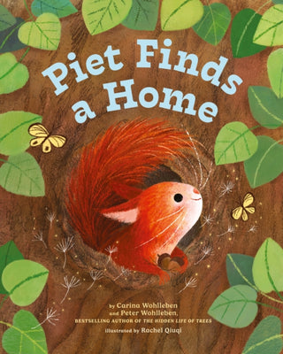 Cover image for 9781778400292 - Piet Finds A Home