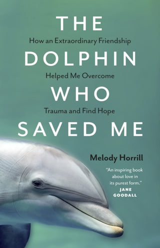 Supplemental image for 9781778400520 - The Dolphin Who Saved Me