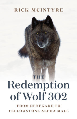 Cover image for 9781778400759 - The Redemption of Wolf 302
