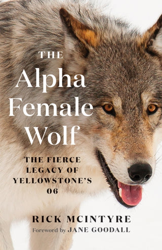 Cover image for 9781778401770 - The Alpha Female Wolf