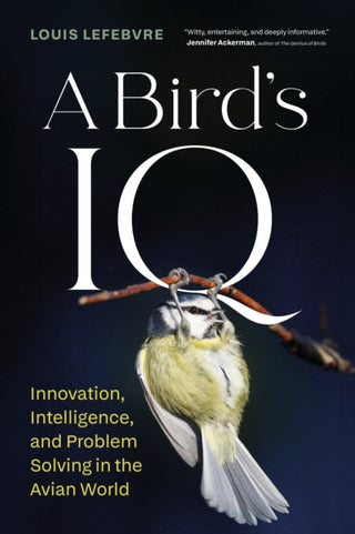 Cover image for 9781778402647 - A Bird's IQ