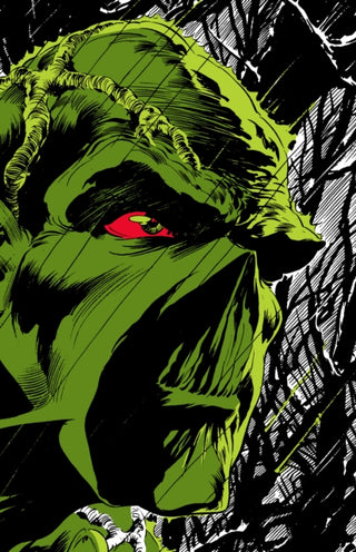 Cover image for 9781779517302 - Absolute Swamp Thing by Len Wein and Bernie Wrightson