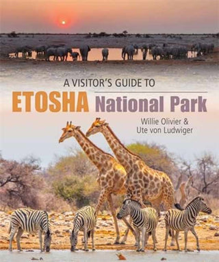 Cover image for 9781779890337 - A Visitor’s Guide to Etosha National Park