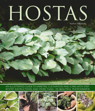 Cover image for 9781780192383 - Hostas