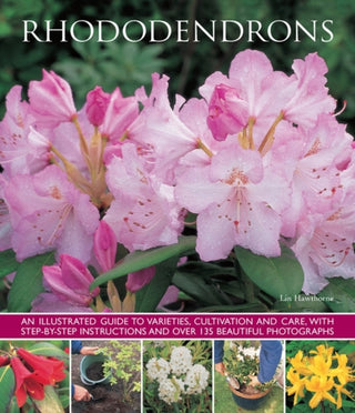 Cover image for 9781780193649 - Rhododendrons